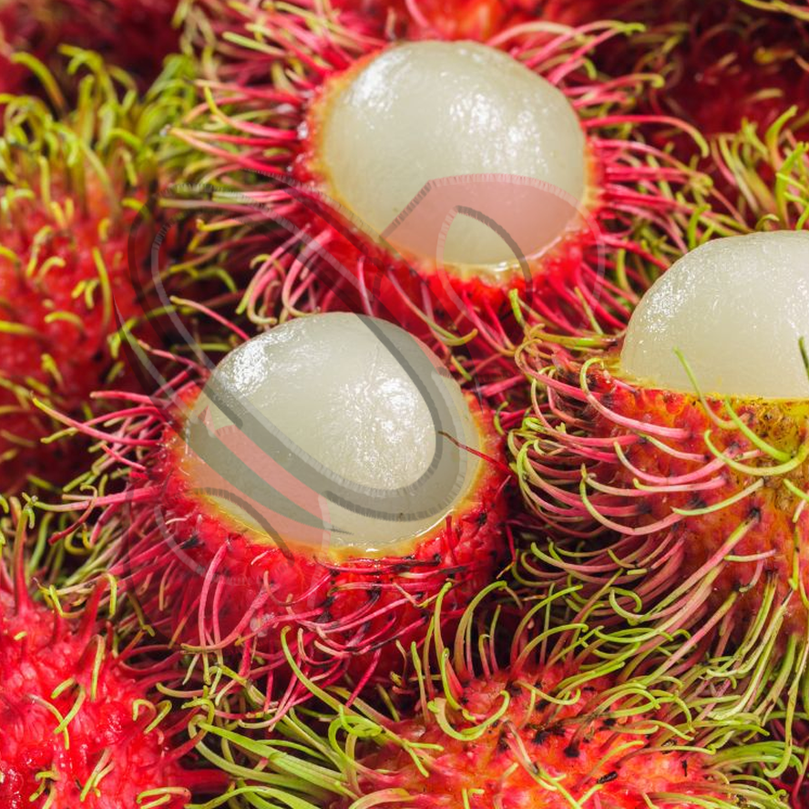 Rambutan: Si Buah Eksotis yang Menyimpan Khasiat